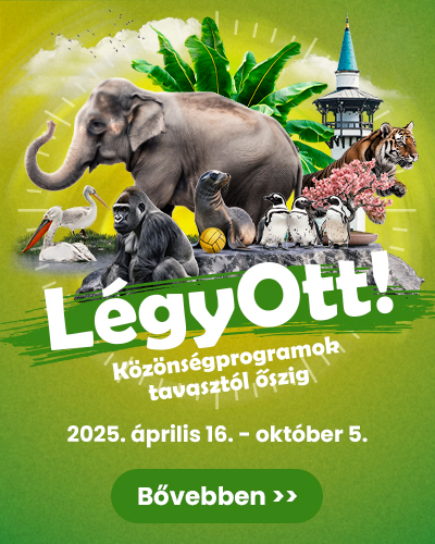 LégyOtt! Közönségprogramok az Állatkertben